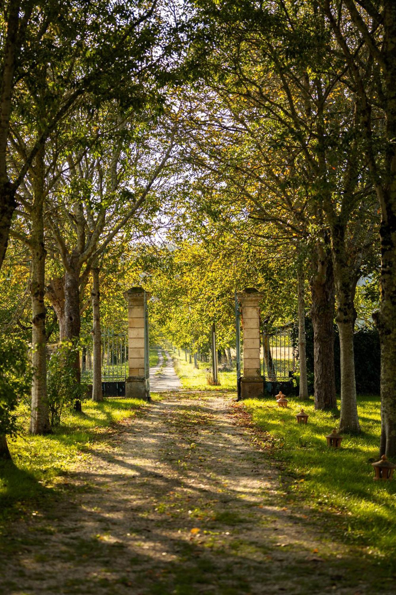 Chateau La Gineste - Castle And Vineyard Duravel Exterior photo