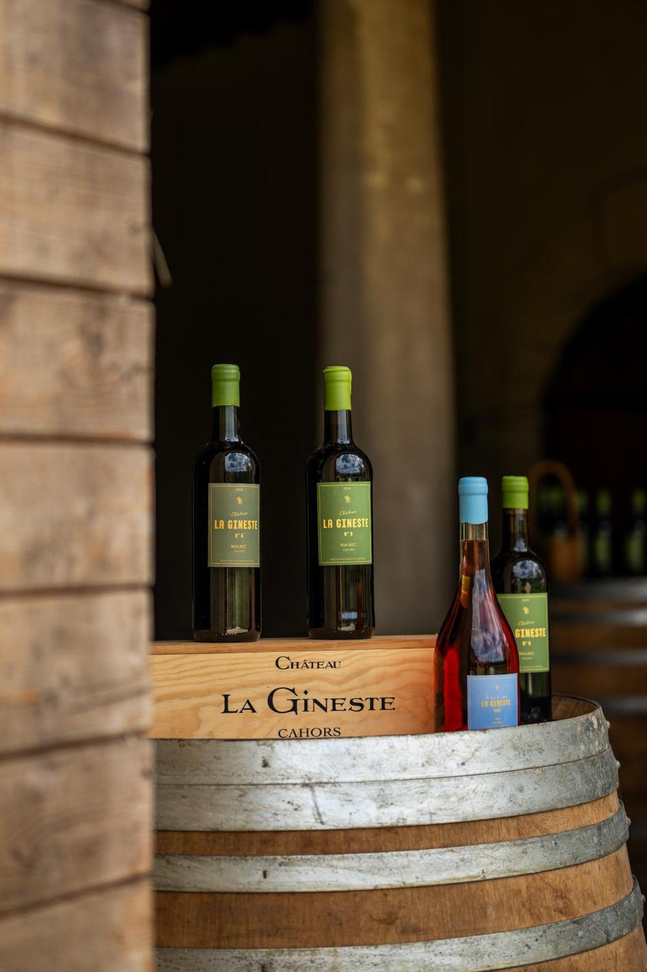 Chateau La Gineste - Castle And Vineyard Duravel Exterior photo
