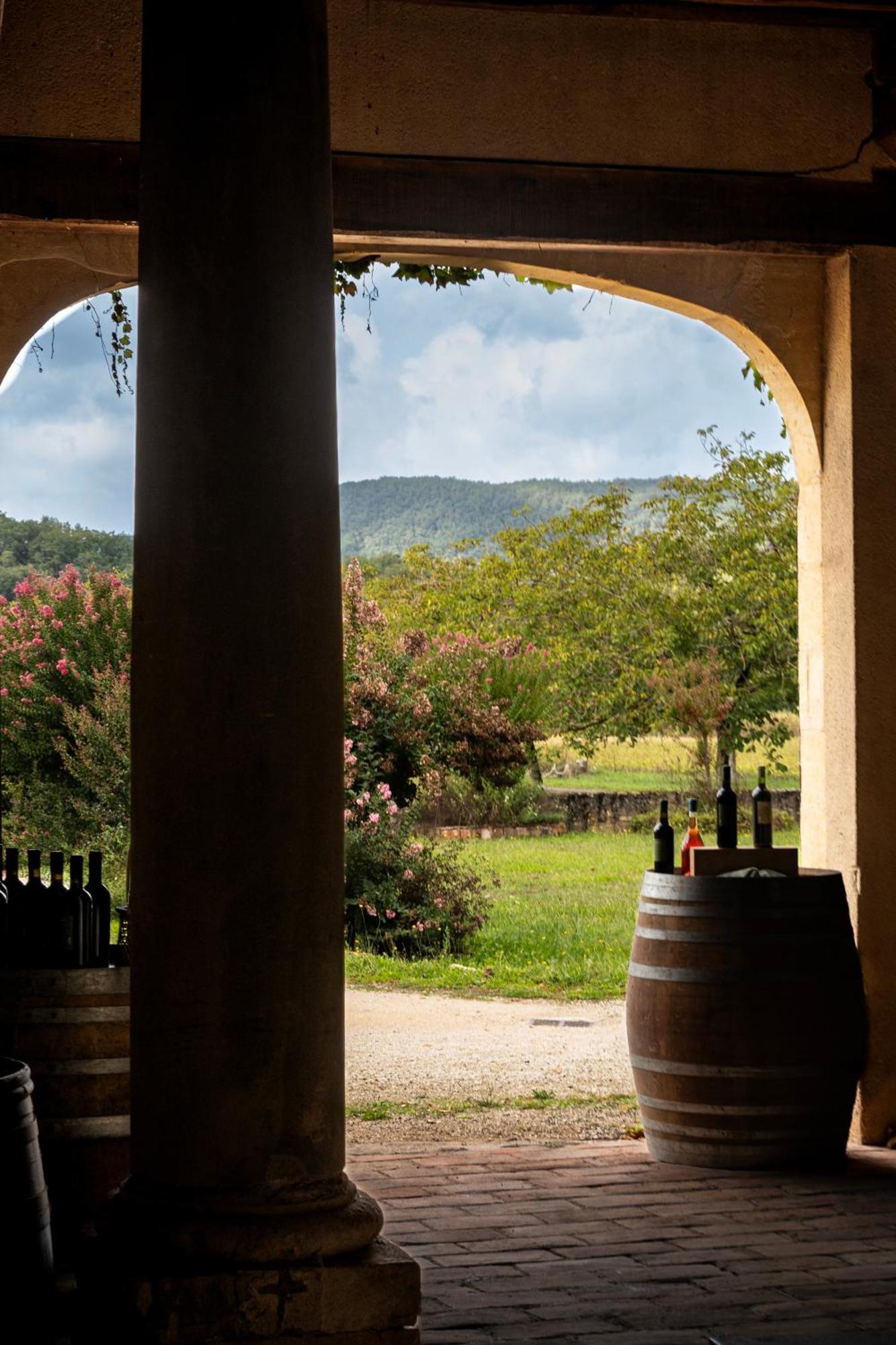 Chateau La Gineste - Castle And Vineyard Duravel Exterior photo